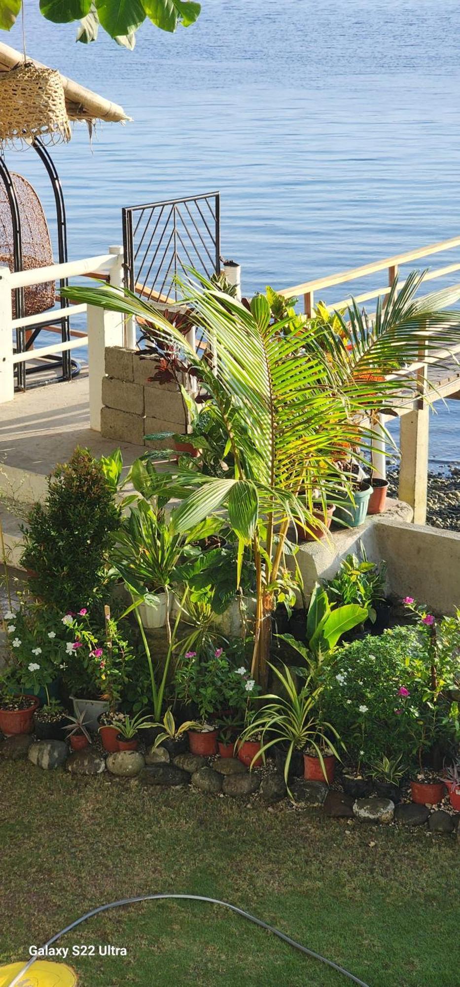 Chue&Larry'S Beachside Homestay Libagon Bagian luar foto